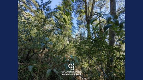 Imagen 6 de 23 de Venta Lote/terreno Fracción De 6500,24 M2 Vista Al Lago Faldeo Del Bayo Villa La Angostura