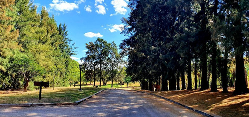 Imagen 16 de 23 de Terreno Azahares Del Paraná - Fighiera - 910m2