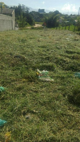 Imagem 4 de 4 de Lindo Terreno Plano Em Tremembé -oportunidade Incrivel - Te0829