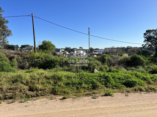 Terreno En El Chorro, 547m2, Sobre Calle Tiburones