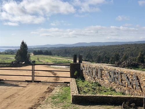 Sitio En Pichilemu