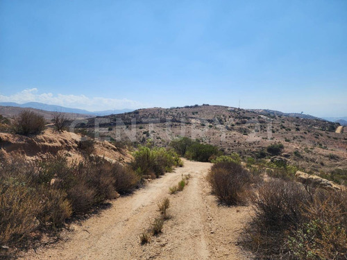Terreno Rustico En Tecate, Misma Entrada Del Balneario Los Alisos