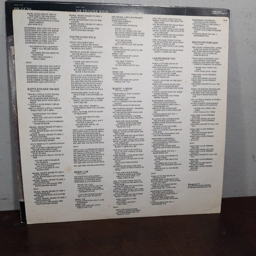 Imagem 4 de 8 de Vinil Lp Skid Row 1989 Com Encarte Bom Estado.