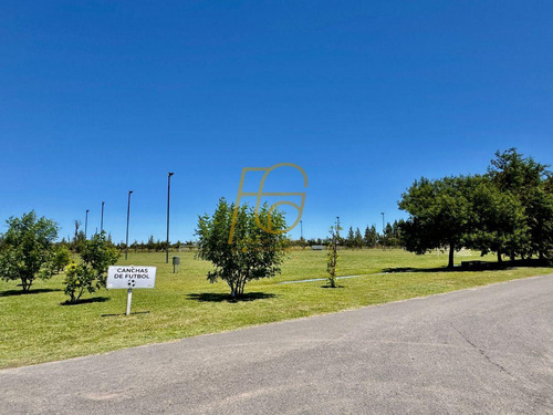 Venta Lote Horizontes Al Sur Canning