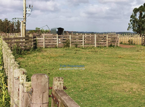 Rocha Venta O Renta Muy Buen Campo 912 Hectareas