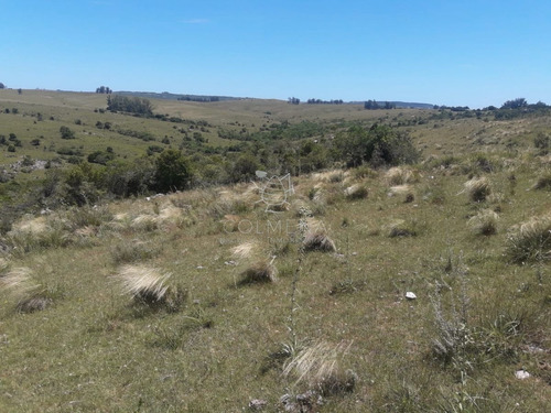 Imagen 11 de 16 de Campo En Carape - Departamento De Maldonado - Carape