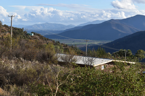 Parcela 8.000 M2 /la Aurora Curacavi