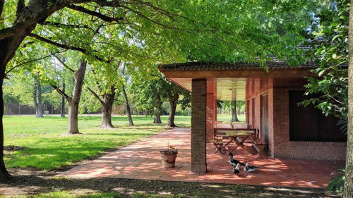 Imagen 6 de 30 de Gran Lote De 7,2ha En Venta Con Casas Quintas En Loma Verde,