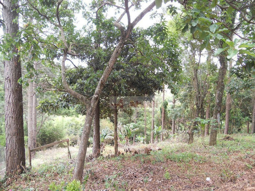 Imagem 16 de 29 de Chácara Rural À Venda, Jardim Náutico Represa, Monte Mor. - Ch0023
