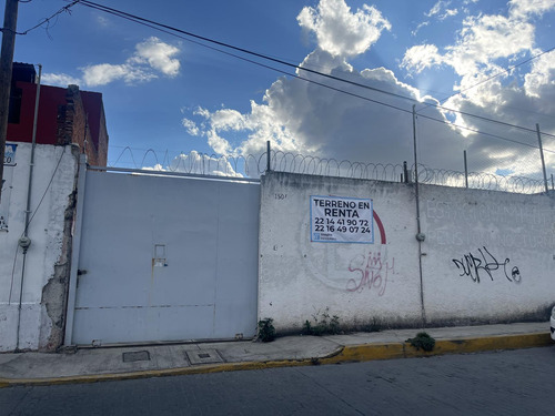 Terreno En Renta Tamborcito