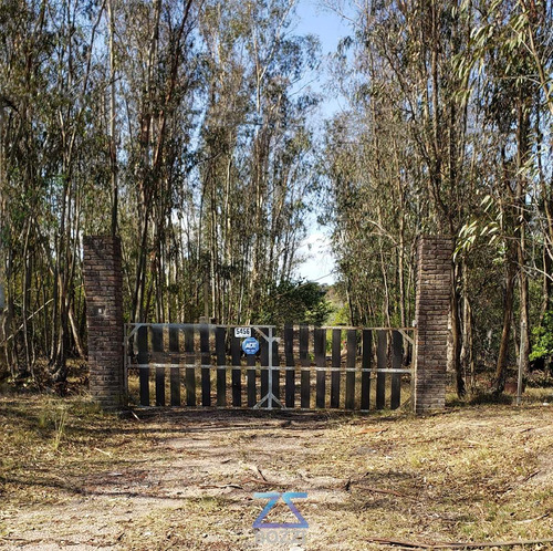 Imagen 2 de 8 de Venta O Alquiler De Terreno Con Edificación