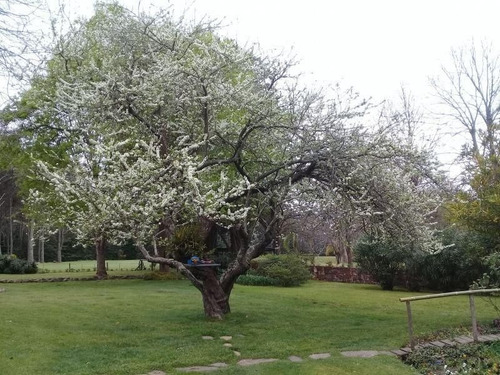 Quinta En Venta De 3 Dormitorios En Las Cumbres