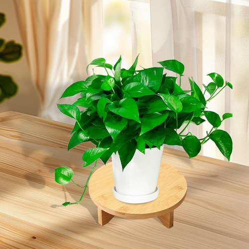 Soporte De Plantador De Madera, Soporte Diámetro De 19.3 Cm