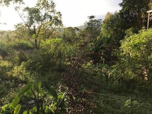 Imagen 10 de 14 de Terreno En Colinas De Carrizal