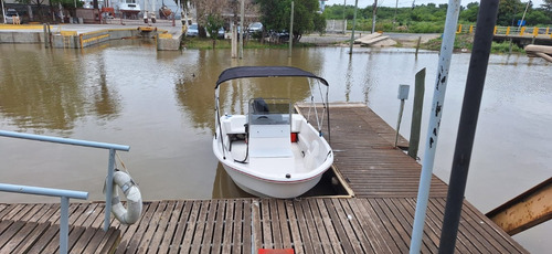 Virgine Marine 490 Mercury 40 Hp Entrega Inmediata - Permuto