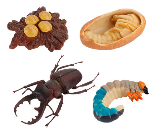 Growth Cycle Toys Insect, 4 Unidades