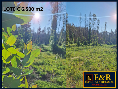 6000 M2 En Colico, Con Ester , Santa Juana (67673)