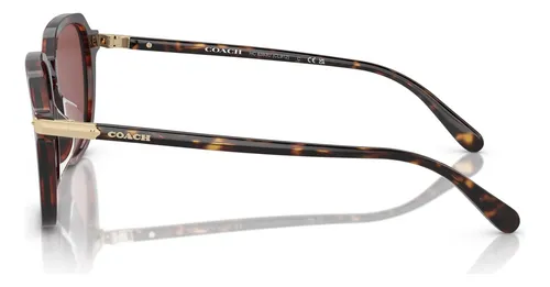 Coach Hc8383u Gafas De Sol De Ajuste Universal, Color Oscuro
