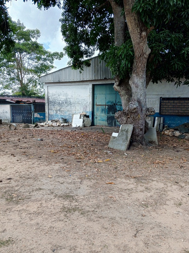 Se Vende Terreno En La Avenida Bella Vista
