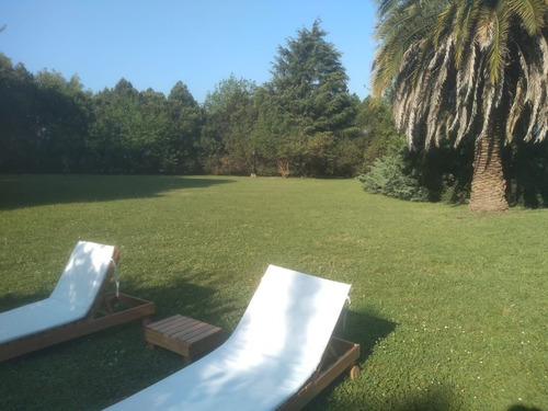 Imagen 5 de 20 de Hermosa Quinta Arbolada Sobre Ruta 6