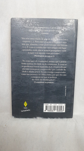 Livro Os Equívocos Da Excelência - Maria Elizabeth Antunes Lima - Editora Vozes (Usado)