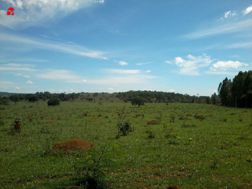 Chacara - Zona Rural - Ref: 1280 - V-1280