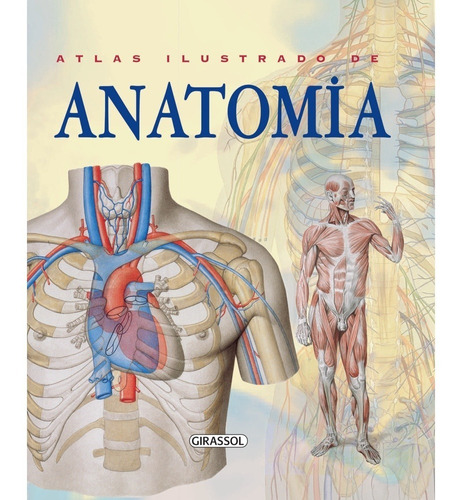 Atlas Ilustrado De Anatomia, De Rigutti, Adriana., Vol. 1. Editora Girassol, Capa Mole Em Português