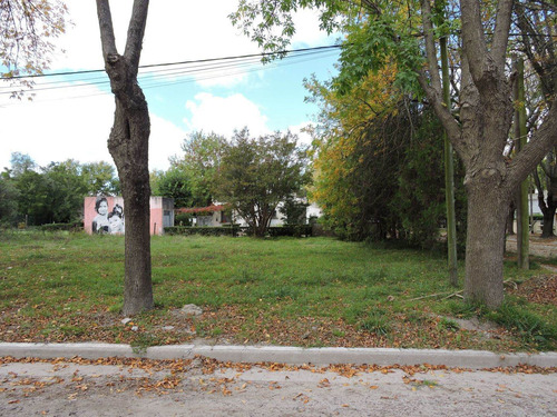 Imagen 3 de 7 de Lote En Pipinas