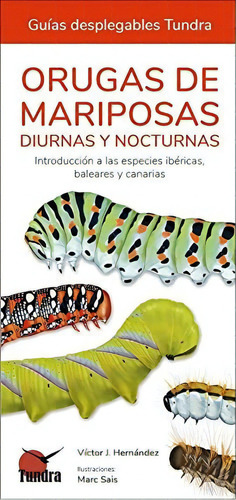 Orugas De Mariposas - Guias Desplegables Tundra, De Victor J. Hernandez. Editorial Tundra, Tapa Blanda En Español, 2022