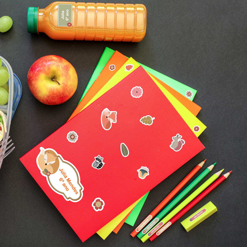 Imagem 3 de 3 de Etiquetas Escolares Personalizadas Raposa Kit Jumbo