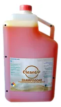 Comprar Venta De Productos De Limpieza Automotriz Corquifa Clean Up