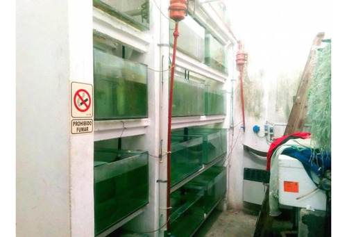 Excelente Oportunidad Comercial Fabrica O Deposito