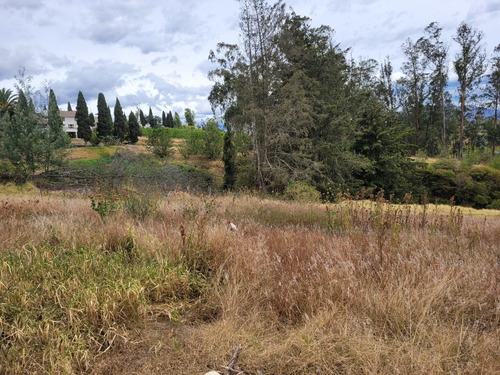 Imagen 4 de 8 de Vendo Terreno De 1000 M2 Y De 2070 M2 En Tababela (precio Negociable)