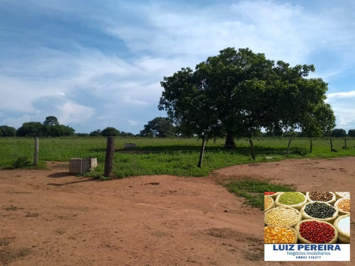Fazenda À Venda Em Talismã - To - De 268 Alqueirões (dupla Aptodão) - 1580