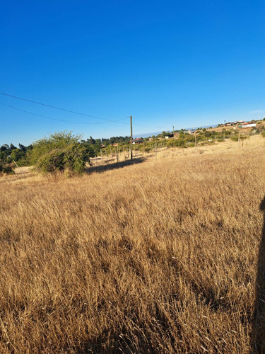 Parcela De 5000 M2 Factibilidad Pozo, Postación Eléctrica
