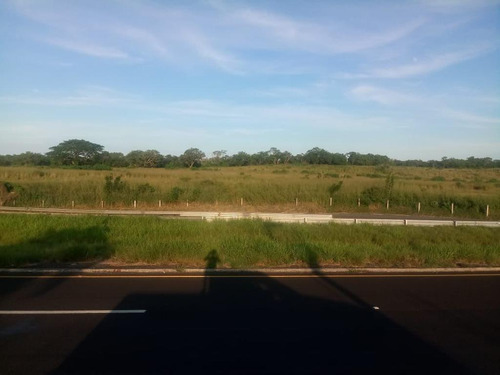 Terreno - La Antigua