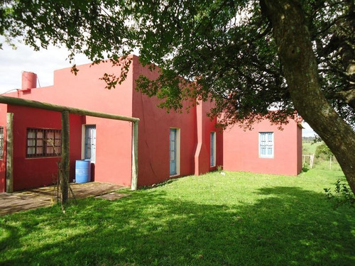 Campo En Venta En Lavalleja. 37 Hectáreas.