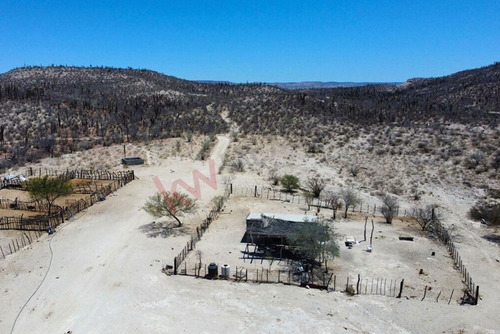 Terreno De 1,000 Ha En Km 97 Carretera A C.constitucion Con Ojo De Agua B.c.s.