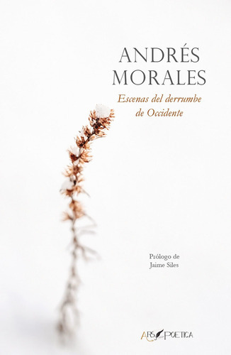 Escenas del derrumbe de Occidente, de Andrés Morales. Editorial EDITORIAL ARS POETICA, tapa blanda en español, 2022
