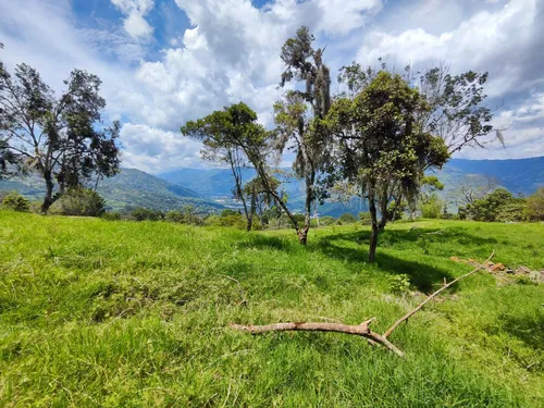 Lote En Copacabana Vereda El Zarzal