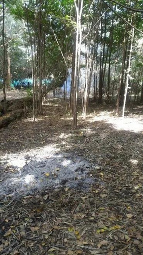 Imagen 6 de 8 de Terreno - Fátima Estacion Empalme