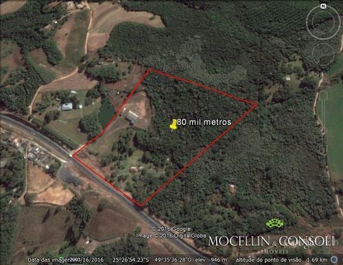 Imagem 5 de 9 de Terreno À Venda, 80000 M² Por R$ 3.000.000,00 - Loteamento Itaboa - Campo Largo/pr - Te0033