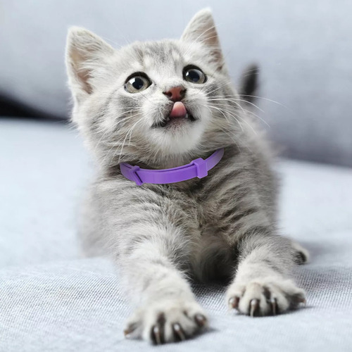 5 Piezas Collar Calmante Gatos Ajustable Calma Collar Relaja