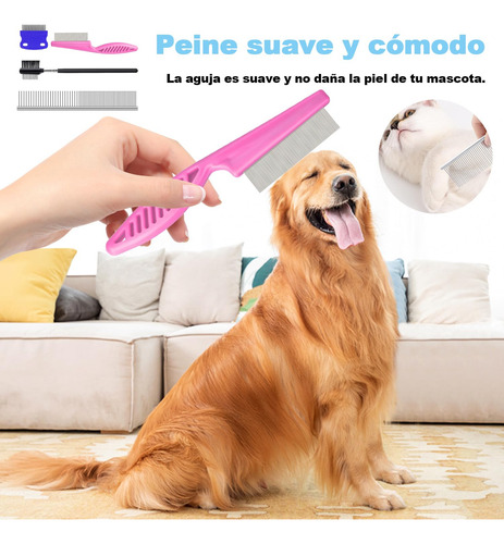 Kit Com 11 Peças De Ferramenta Para Remoção De Carrapatos,