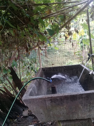 Imagem 7 de 15 de Sitio De 40 Hectares A Venda No Bairro Alto Aririu Em Palhoca - V-82023