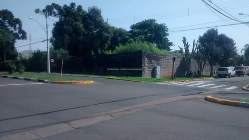Imagem 1 de 15 de Terreno - Sao Jose - Ref: 46989 - V-46989