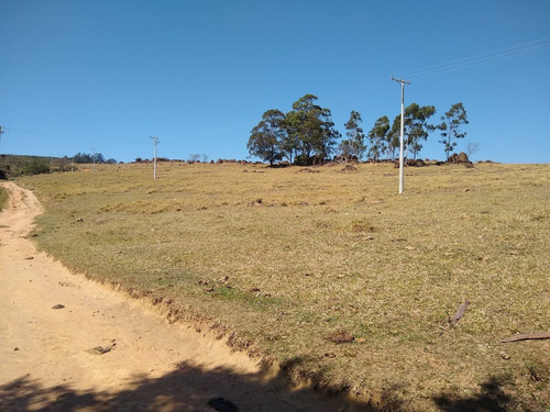 Imagem 9 de 26 de Fazenda 62 Alqueires, Sem Benfeitorias, Rica Em Água Com Lago E Nascentes, Pasto, Excelente Para Criação De Gados, Topografia Semi Plano - Fa00218 - 70653398