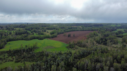 Campo En La Unión Cercano Al Lago Ranco 27,4 Hectáreas