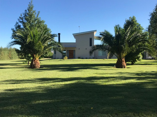 Excelente Casa De Categoría Sobre 1 Hectárea En Rama Caída, San Rafael , Mendoza