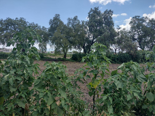 Terreno Las Animas Ozumbilla